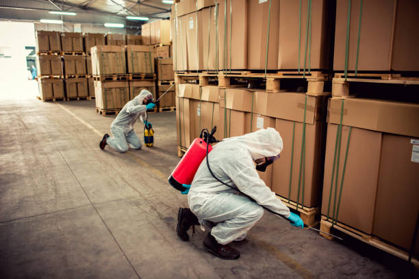 Best Affordable Pest Control Services  in Steep Falls, ME