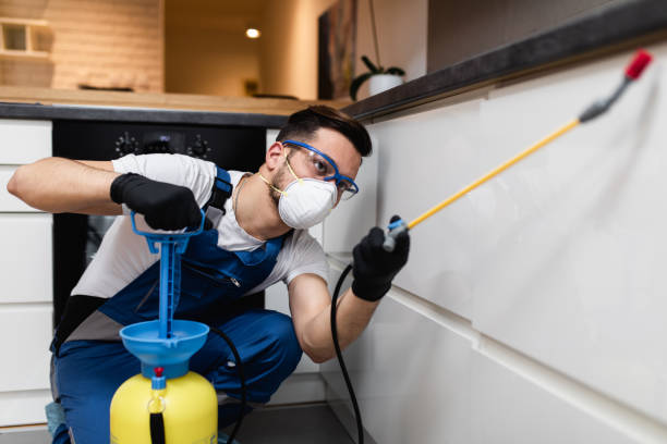 Best Cockroach Control Services  in Steep Falls, ME