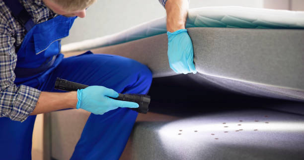 Best Cockroach Control Services  in Steep Falls, ME