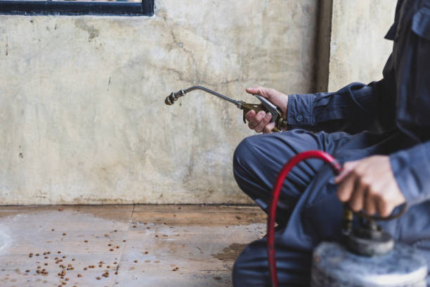 Best Pest Control for Businesses  in Steep Falls, ME